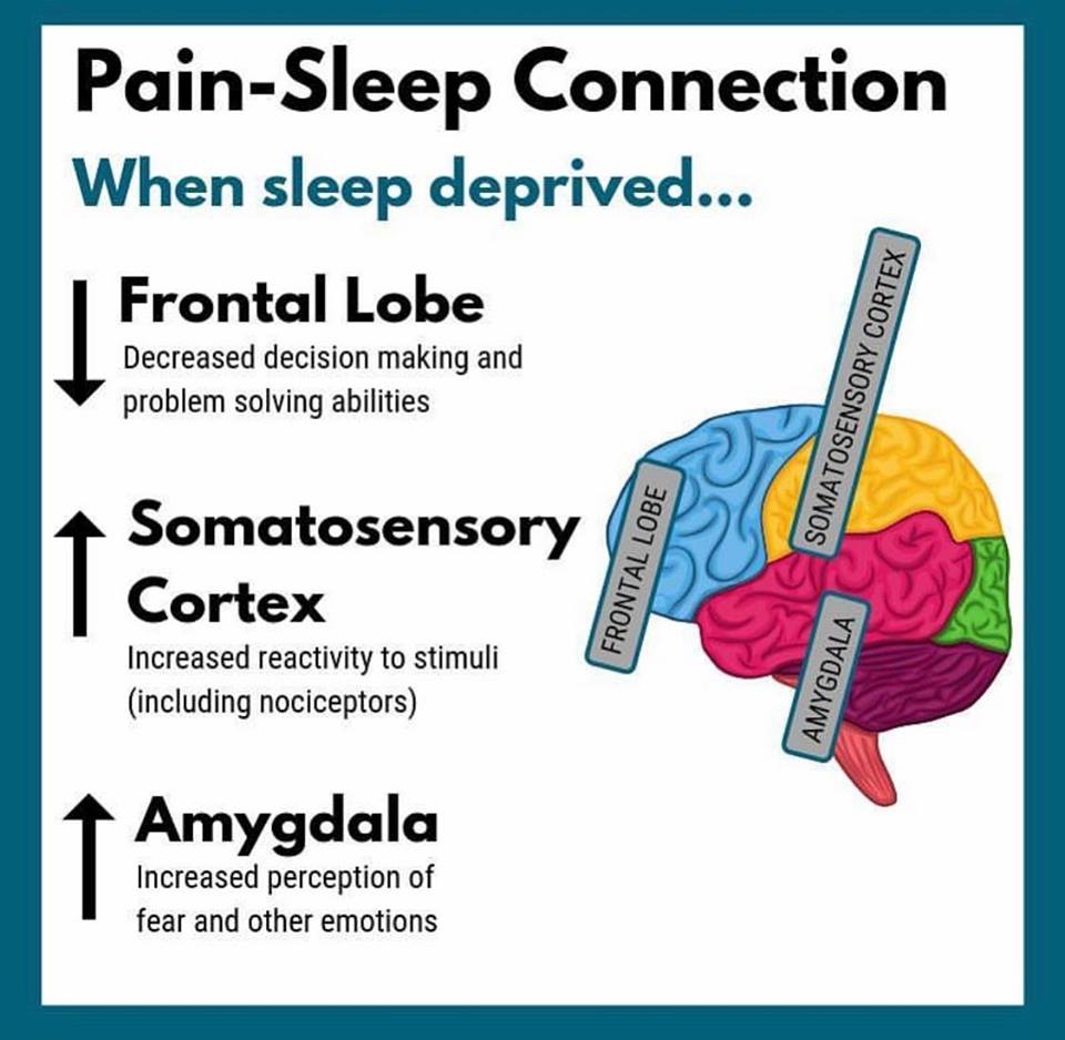 sommeil et hypnose